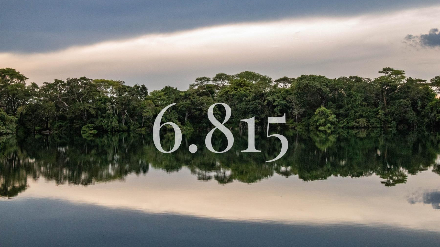 Nachhaltig Unterwäsche Tencel weForest Coco Malou Klimawandel